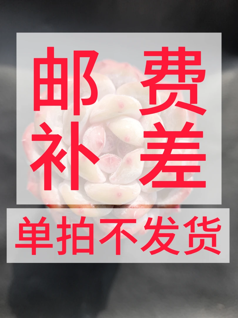 直播间多肉植物一物一拍运费补差