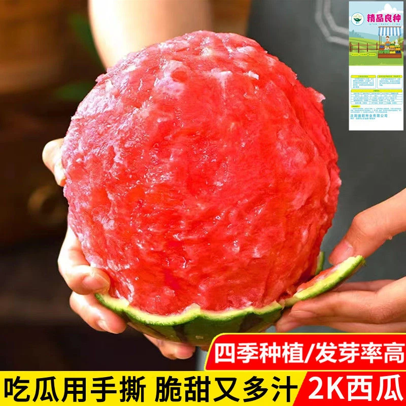 【开春新品】盆栽全美2k小西瓜种子早春红玉西瓜无籽西瓜种南