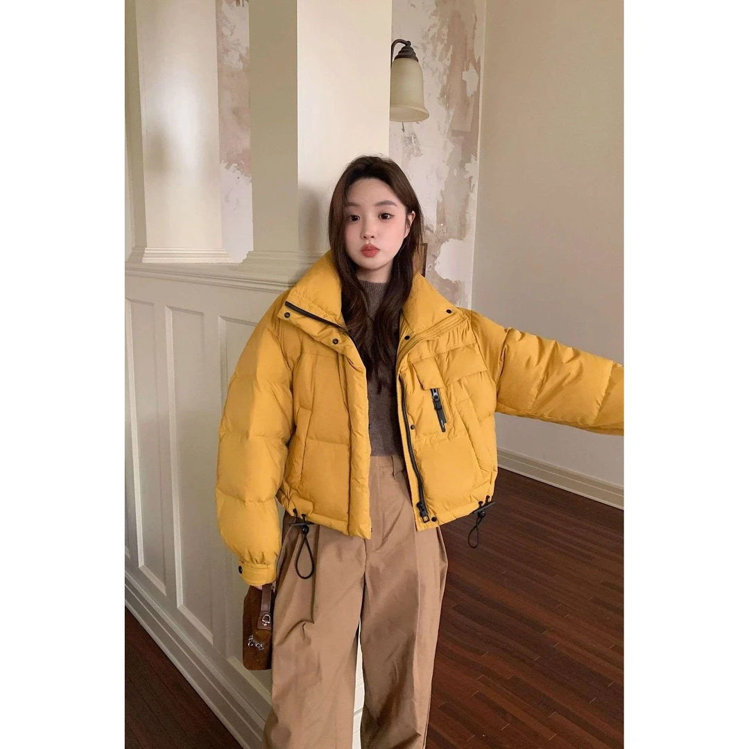 女短款2025新款韩版立领简约加厚小个子超好看短款羽绒服