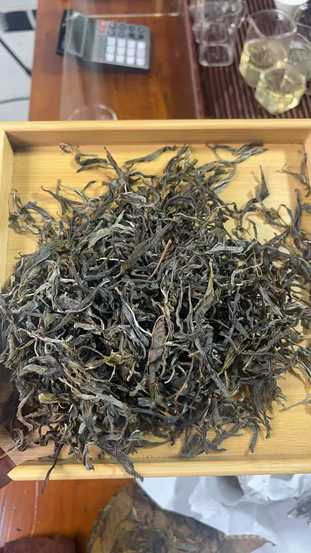 【35】2025年 冰岛糯伍老寨 古树头春头采 普洱生茶 散茶