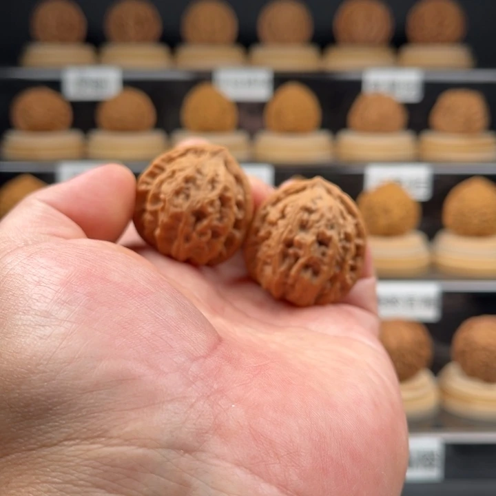 端***毕全品红锦鲤32尺寸