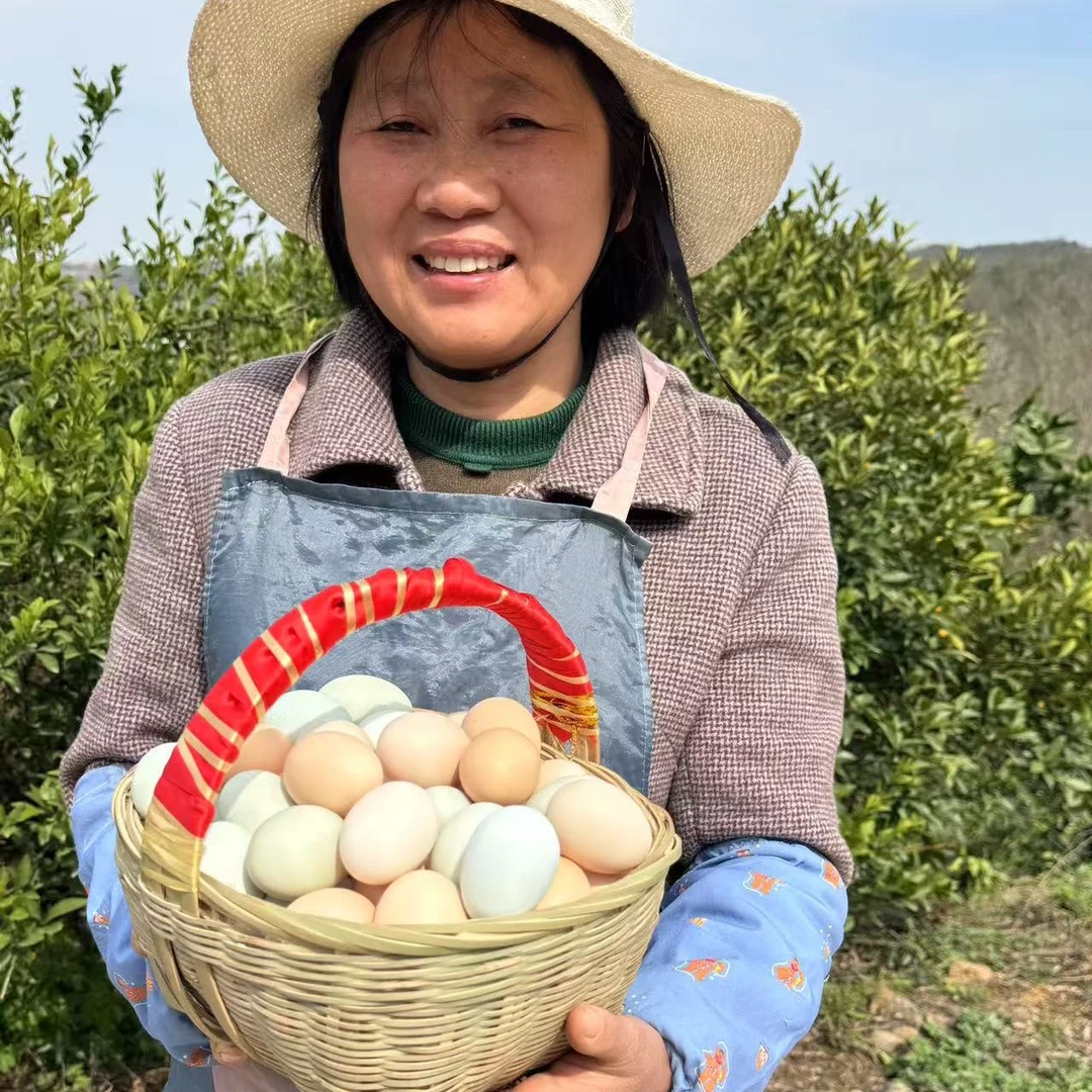 生鲜山林散养新鲜土鸡蛋农家生态美味现捡现发
