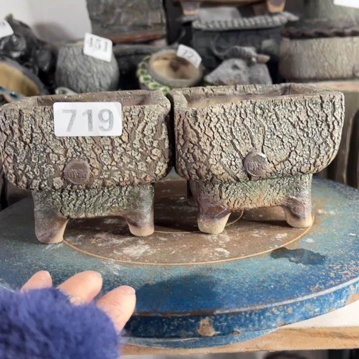 陶瓷喵一个一个一个