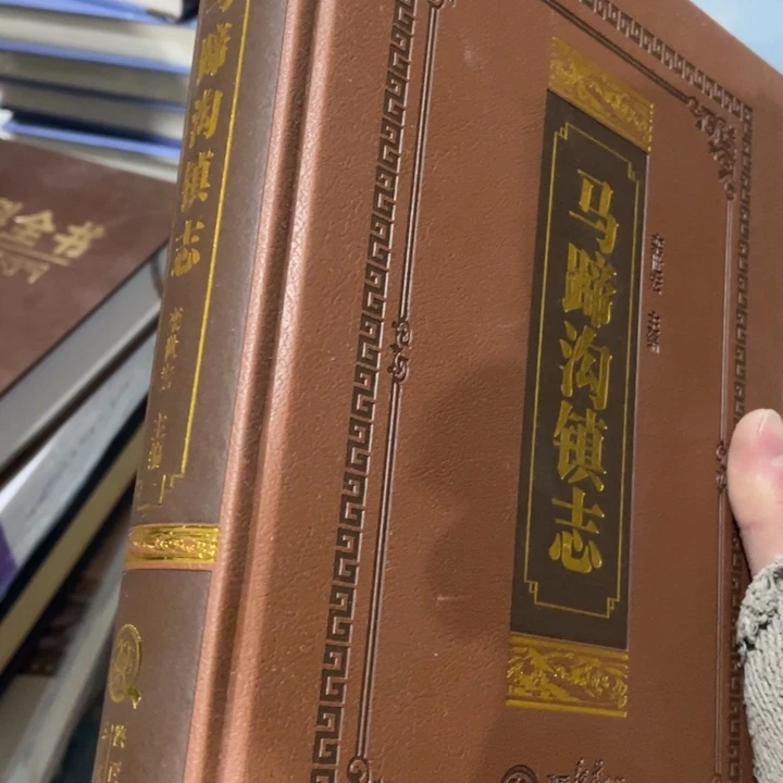 马蹄沟镇志精装书籍