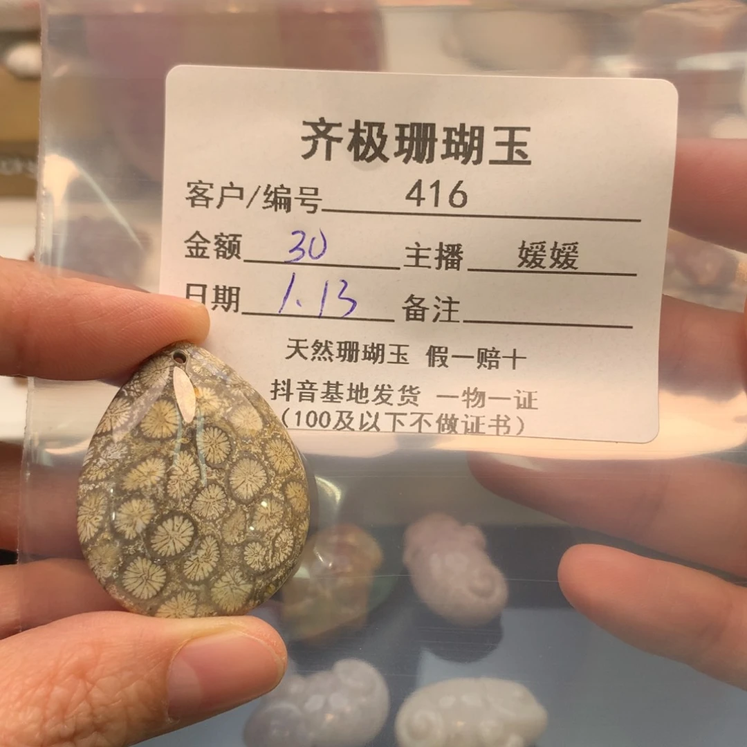 硅化珊瑚（珊瑚玉）颈饰未镶嵌拖****泳