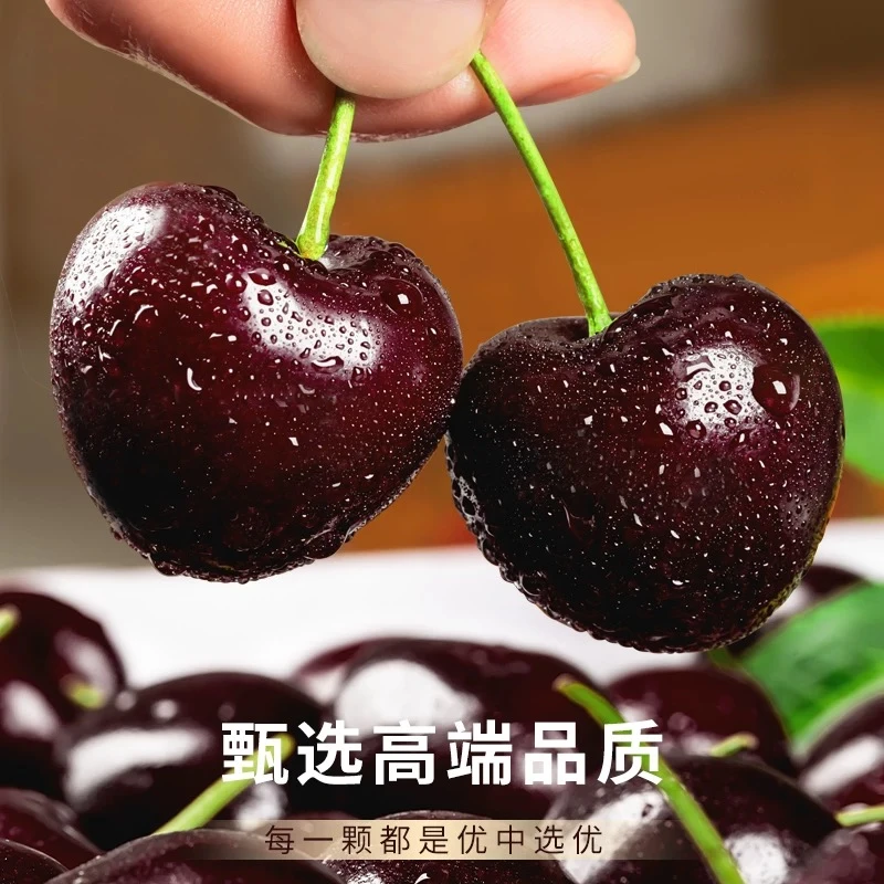 【俊杰专属】智利进口车厘子海运桑提娜5斤原箱净重J~4J 内附果径卡