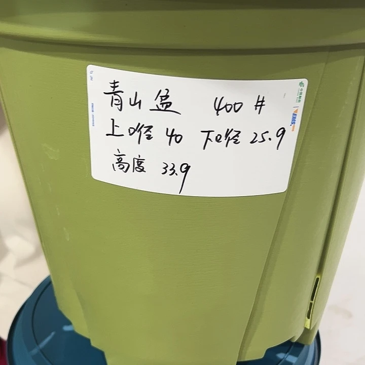 青山盆口40高35混色无托5只