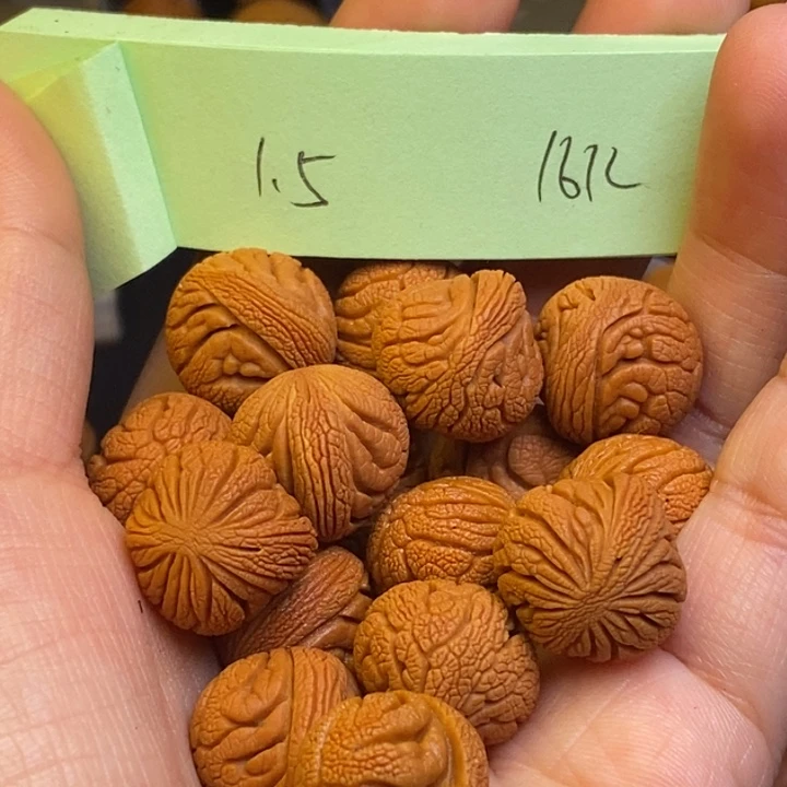 吊坠桃核秦岭龙纹桃核15尺寸