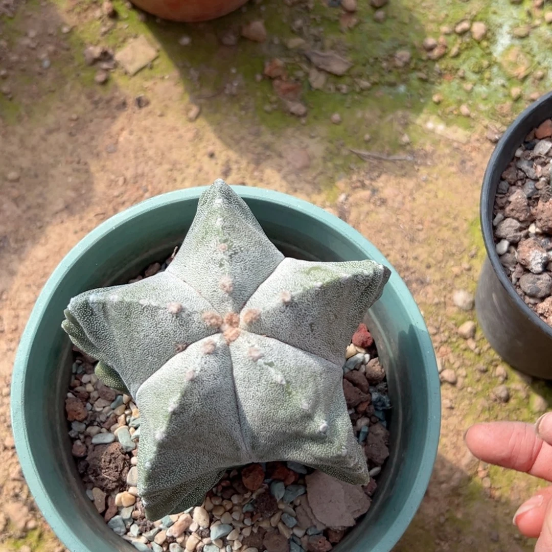 l***e零零落落 零零落落