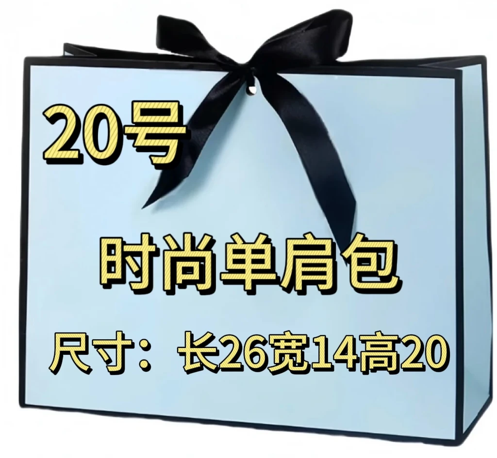 20号经典时尚网红单肩包A78089-9