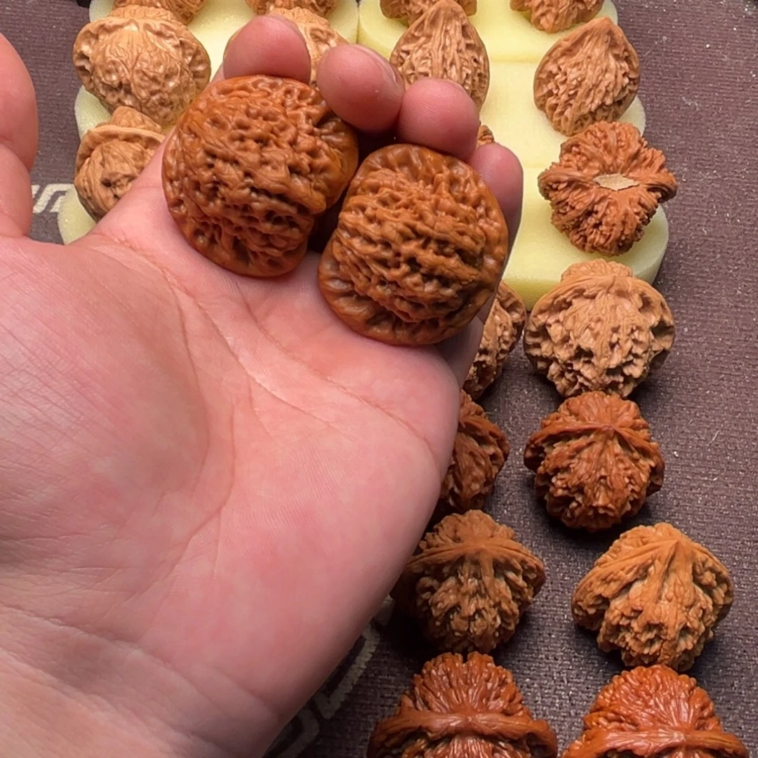 见***怪核桃金公子11111111