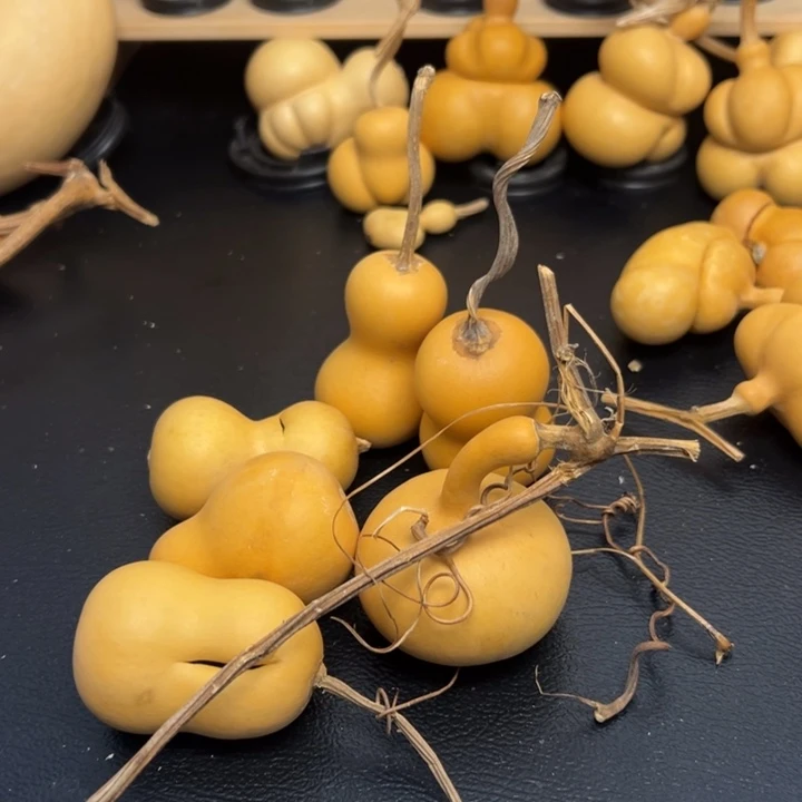 ?*?536666666233556596