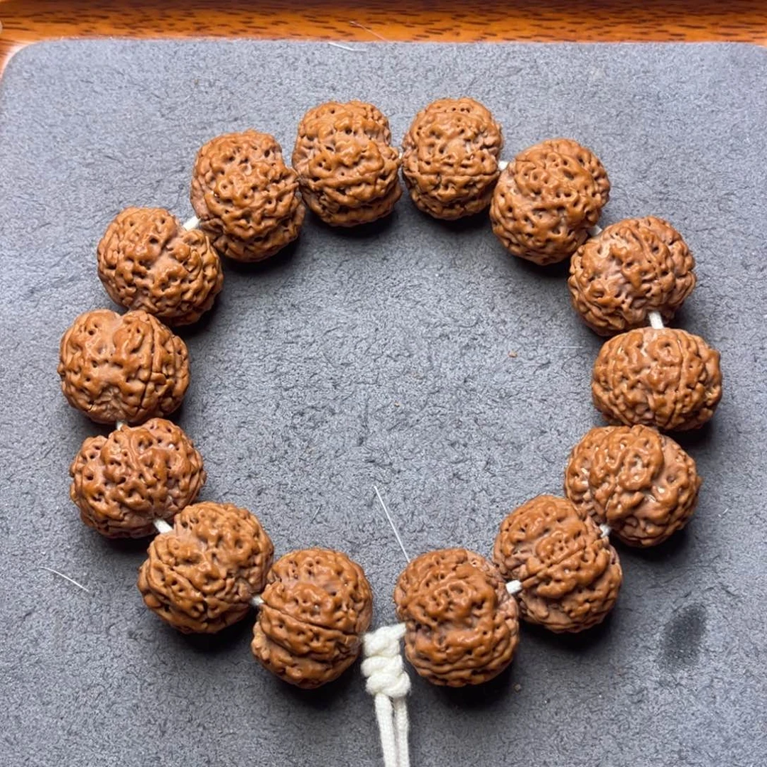 菩提23号金刚菩提飞碟梅花22