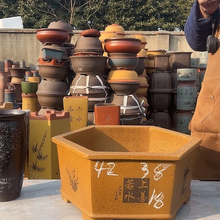 紫砂紫砂花盆盆栽