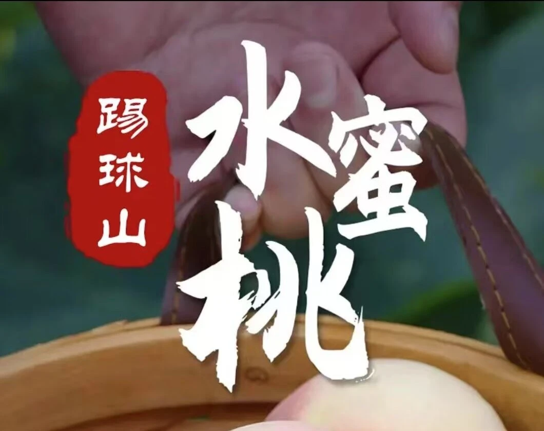 正宗踢球山水蜜桃产地直发现摘现发新鲜水果