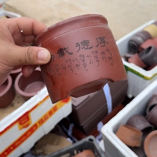 是因为它具有非常丰富多样且多样特色而且又富有活力