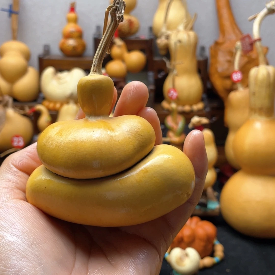 5****2大自然的秘密第十一节的秘密