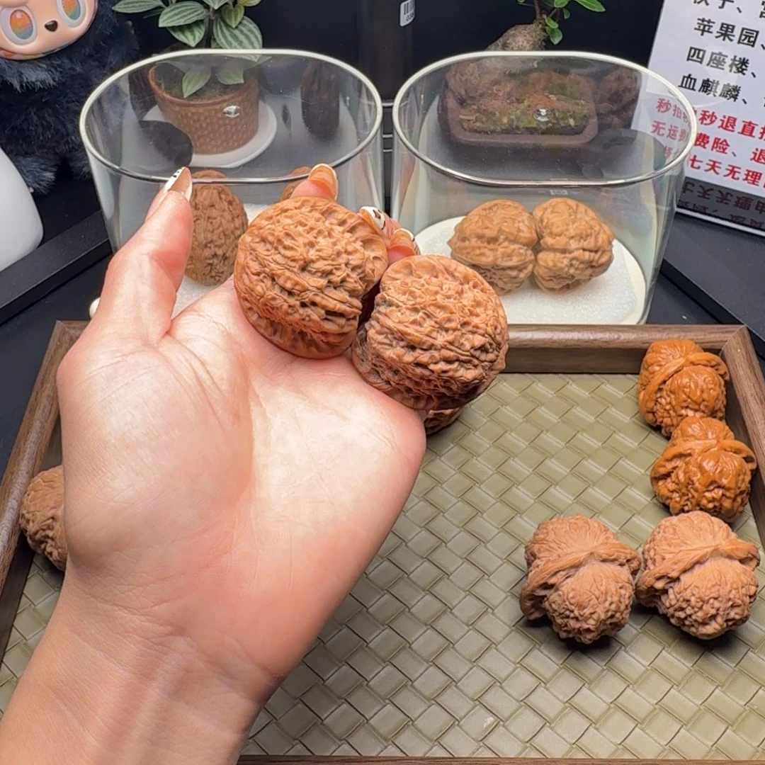 龙脊菩提吊坠全品血麒麟