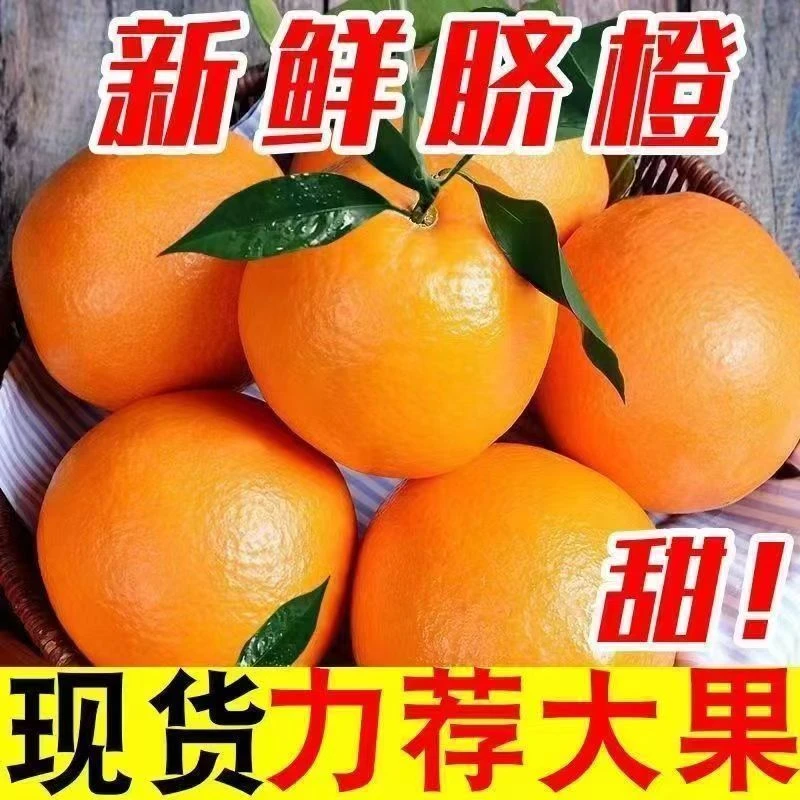 正宗高山脐橙新鲜采摘发货当季水果橙子产地直发