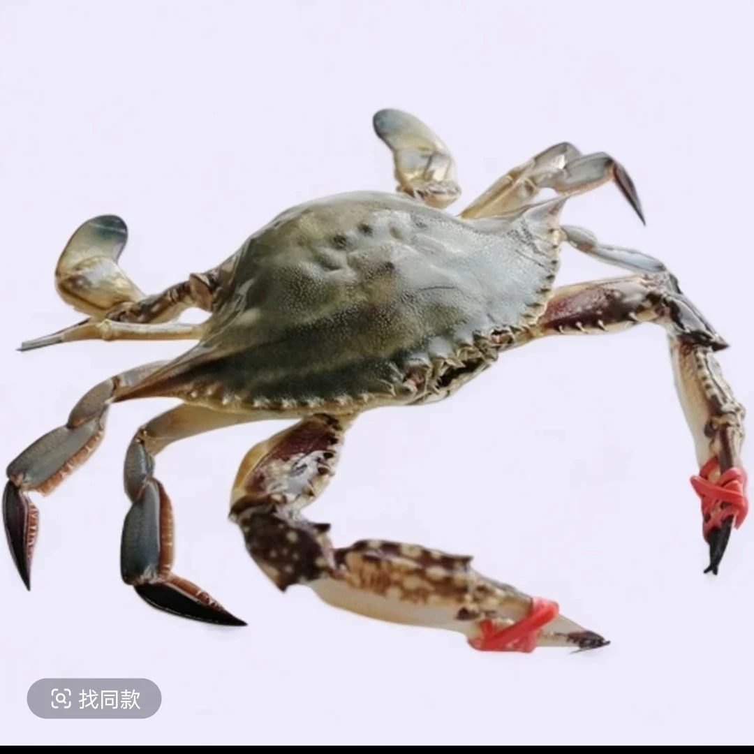 东港公飞蟹3～4两左右个别断臂（3斤8-只左右）【保鲜不保活】不保腿甲全