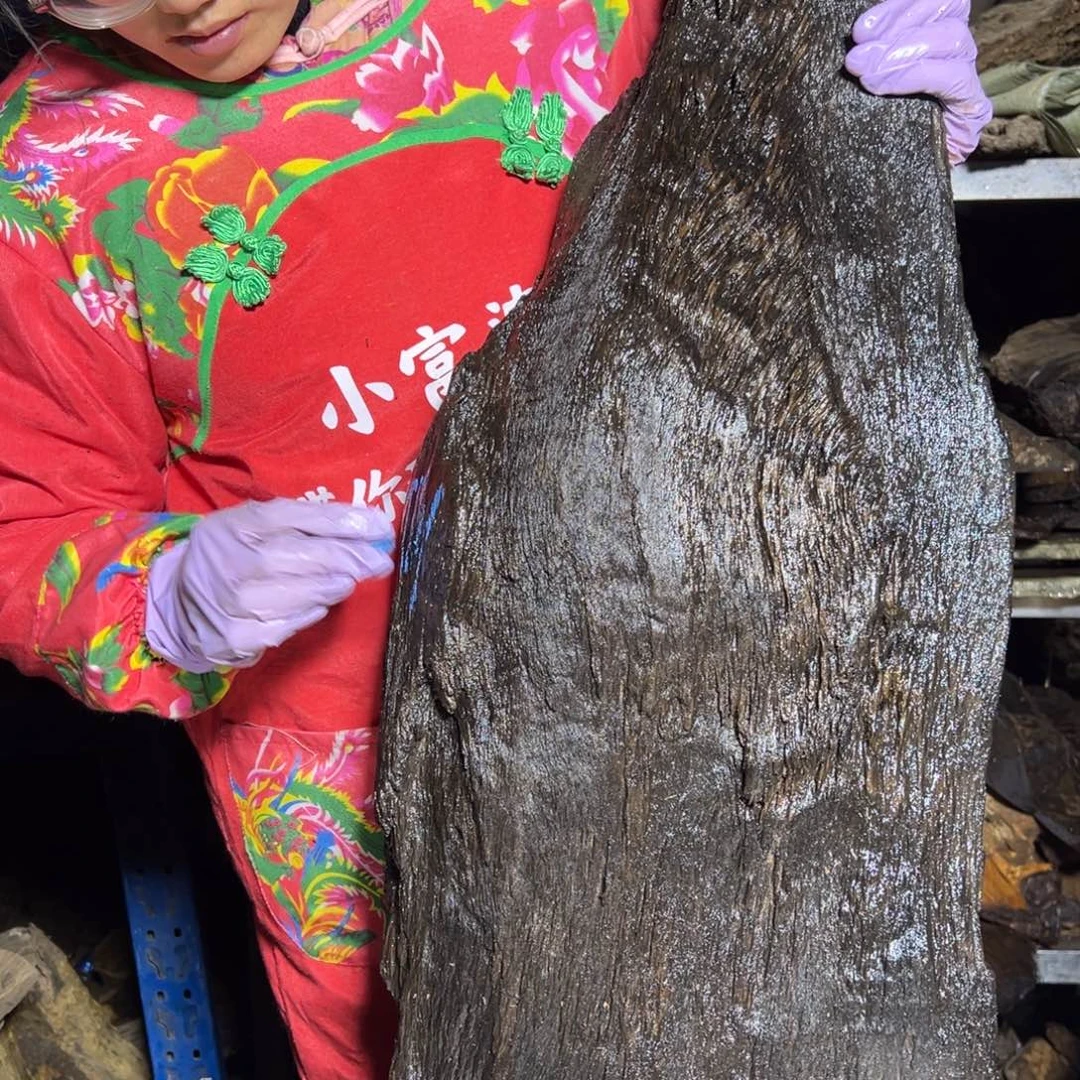 郭****楠木222222222222222222222