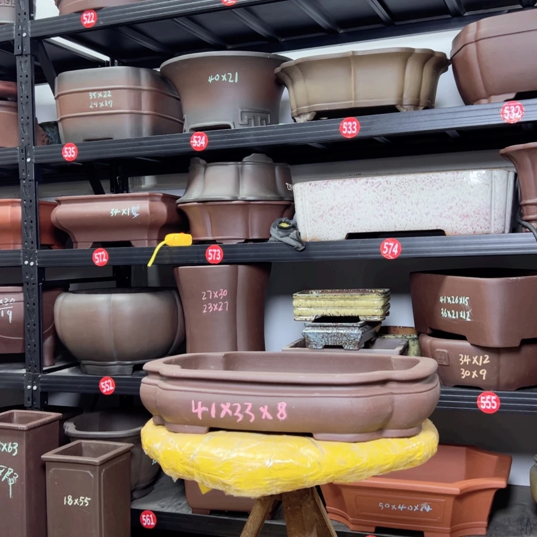 紫砂花盆呜呜呜呜