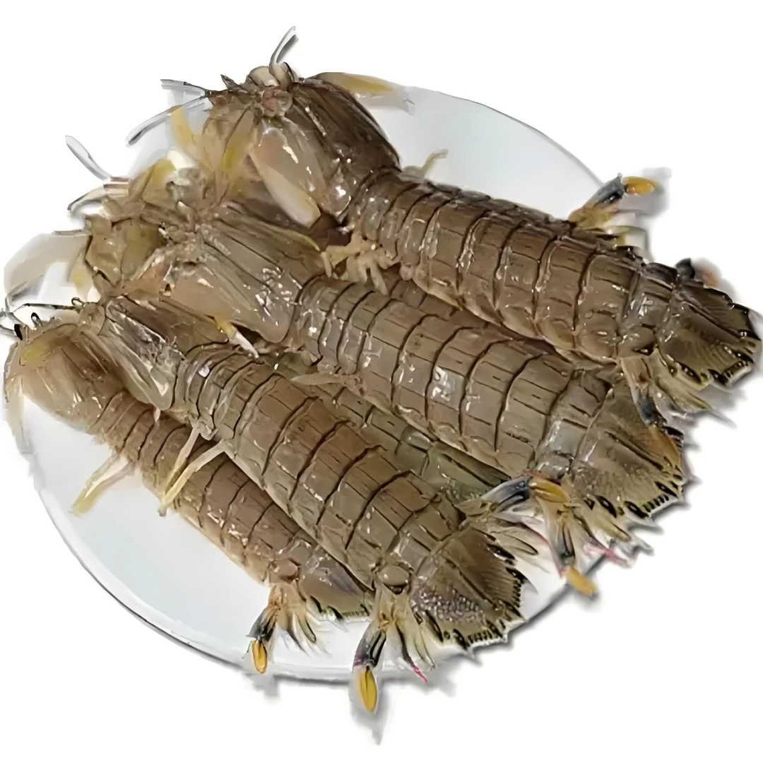 （港威海鲜）新鲜断痒虾爬子3斤）