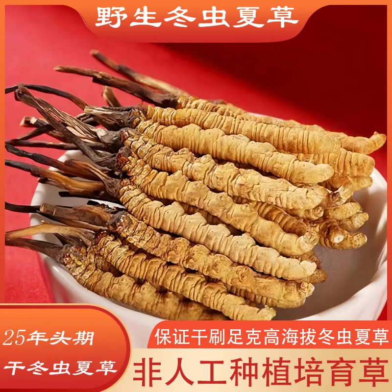 西藏那曲正宗冬虫夏草（4根1克）非人工种植培育虫草