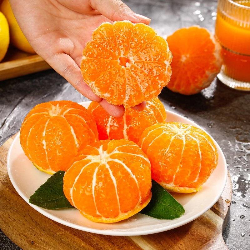 现摘高山蜜桔薄皮新鲜红皮橘子孕妇水果应季酸甜无籽果冻桔子5斤