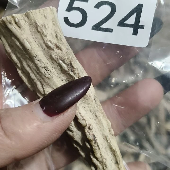 深***忆鹿角鹿角鹿角鹿角鹿角鹿角