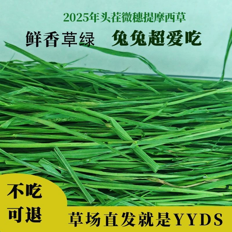 25年优质烘干微穗提摩西草宠物兔专用促消化甘肃直发