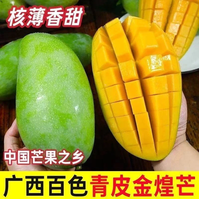 【放软吃】广西青皮金煌芒甜心芒果新鲜当季水果爆甜多汁坏果包赔Z2