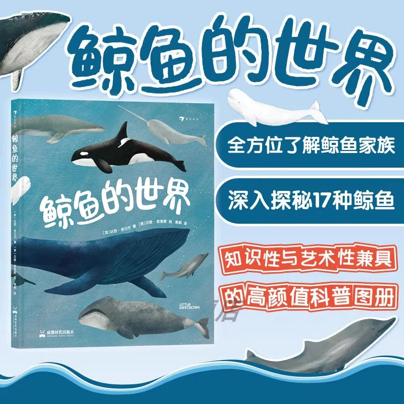 浪花微瑕：鲸鱼的世界  浪花朵朵图书