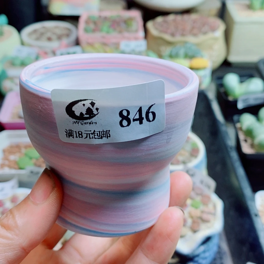 布***4生石花花花花花花花花846