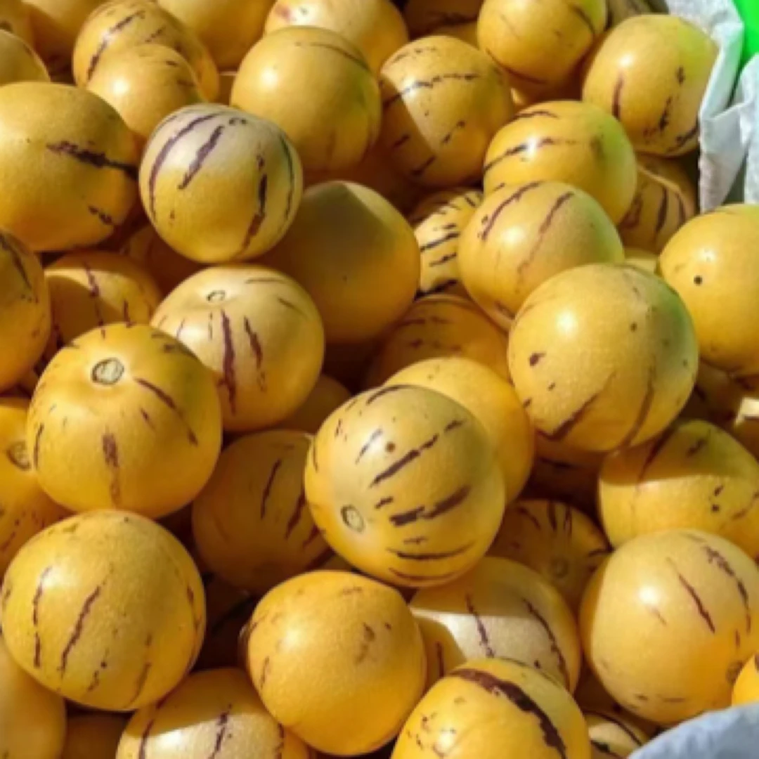 云南石林树熟人参果一份2斤