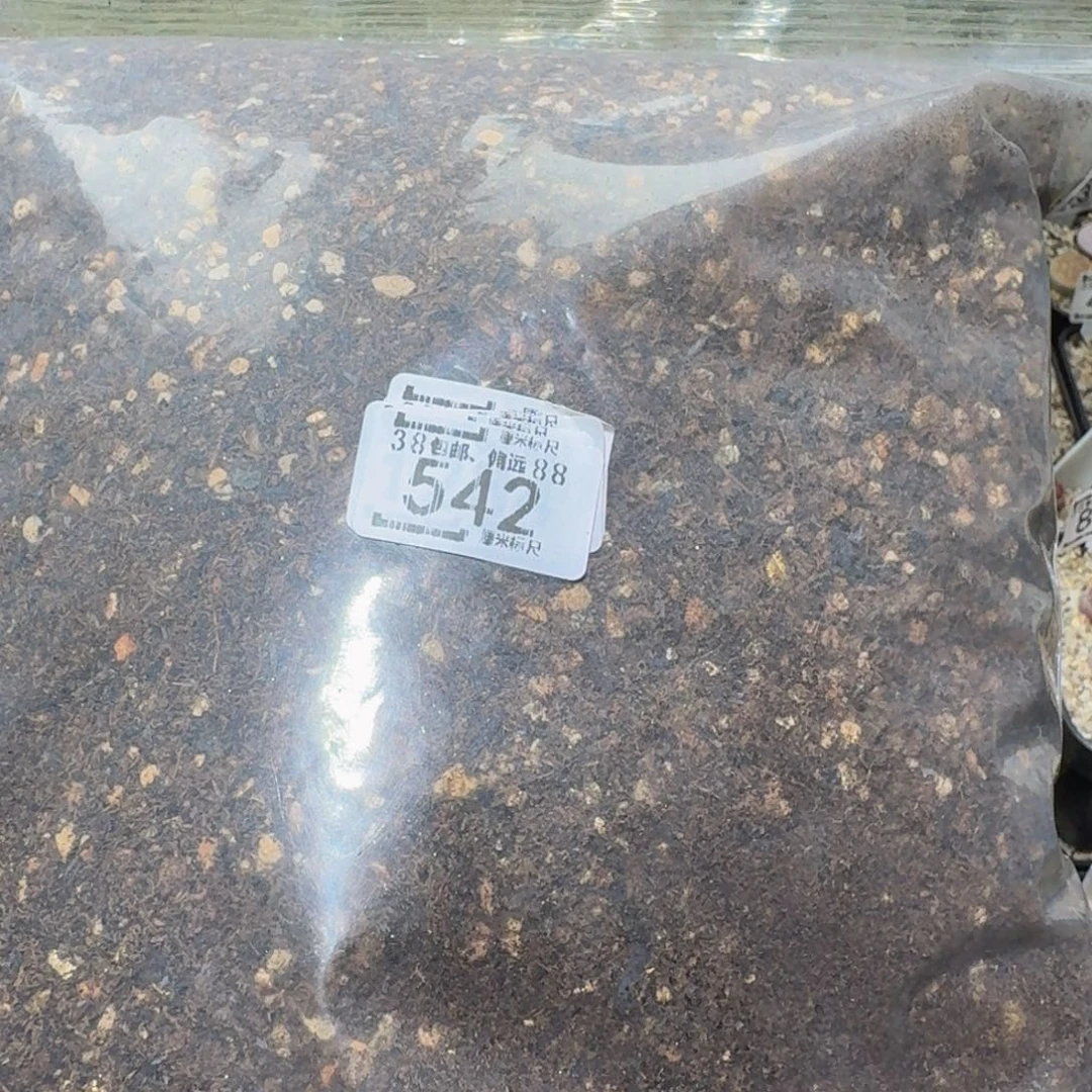 Ssss精品生石花542