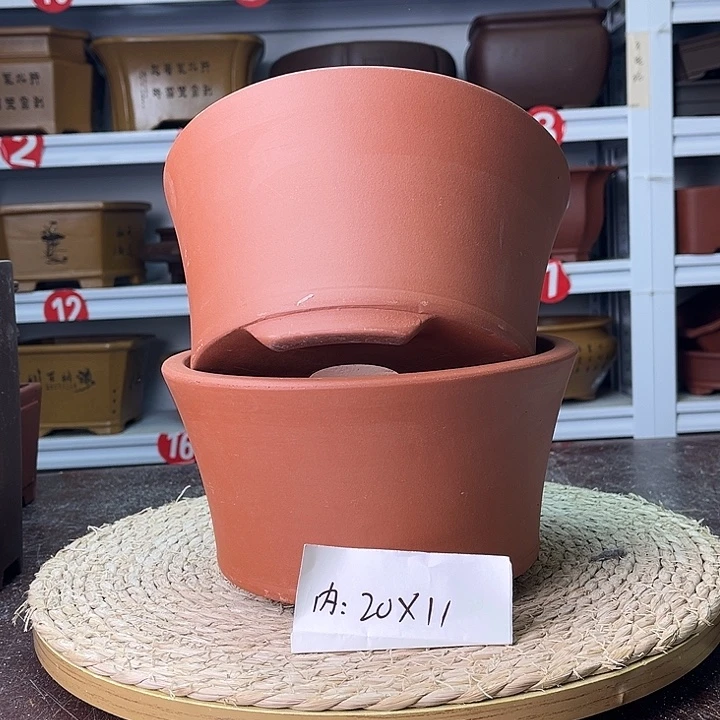 花盆紫砂你在一起