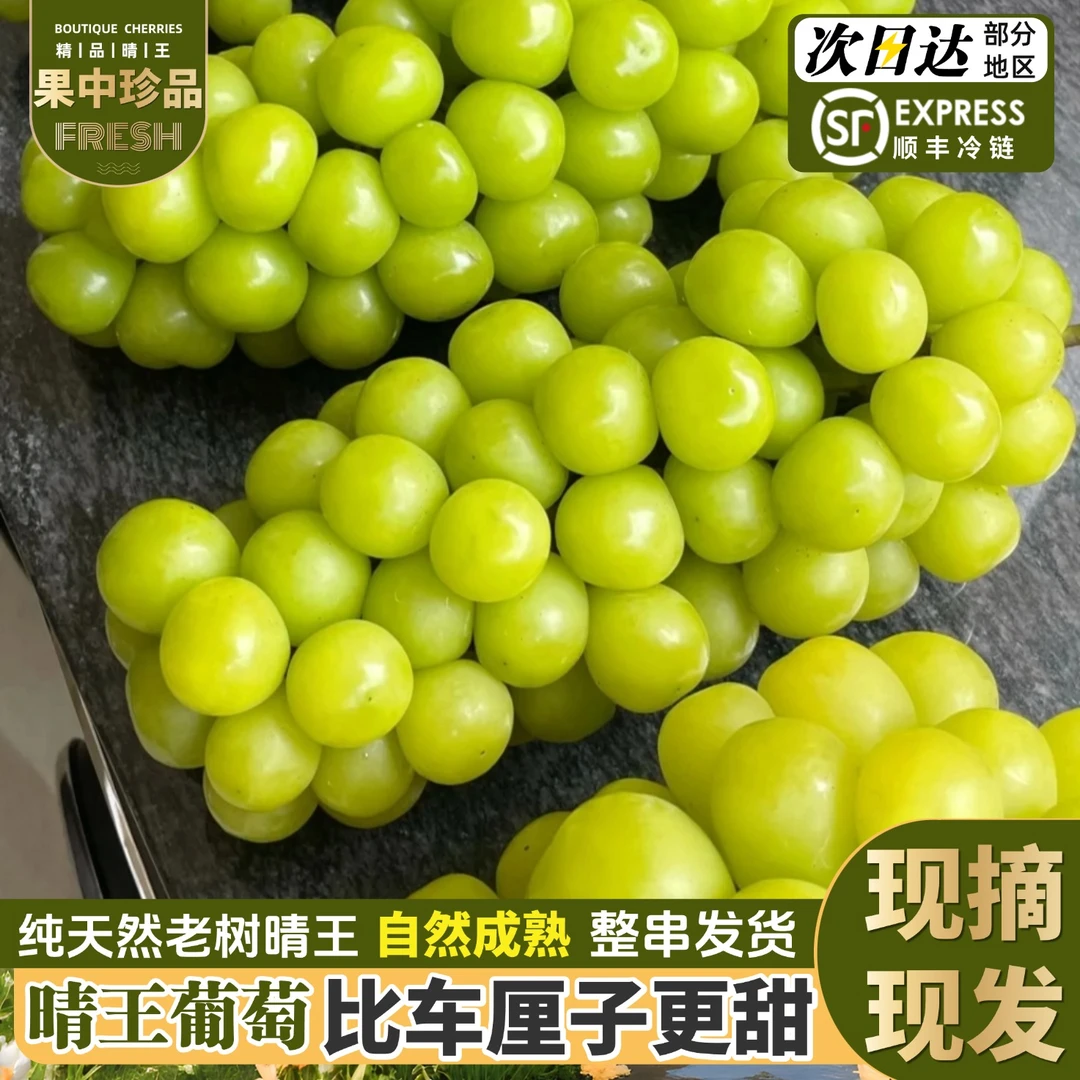 顺丰次日达5斤大果整箱精品阳光玫瑰葡萄当季新鲜现摘现发3/5斤Q