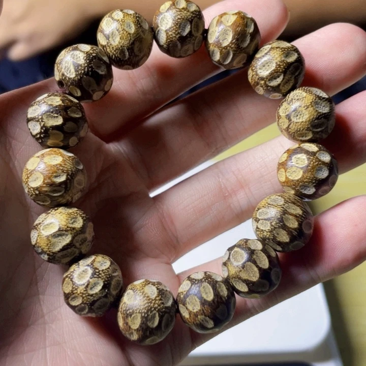 无非金属白棋虫漏