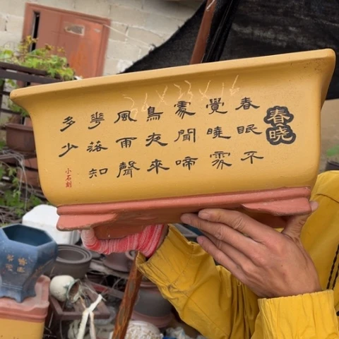花盆紫砂特价包邮送盒