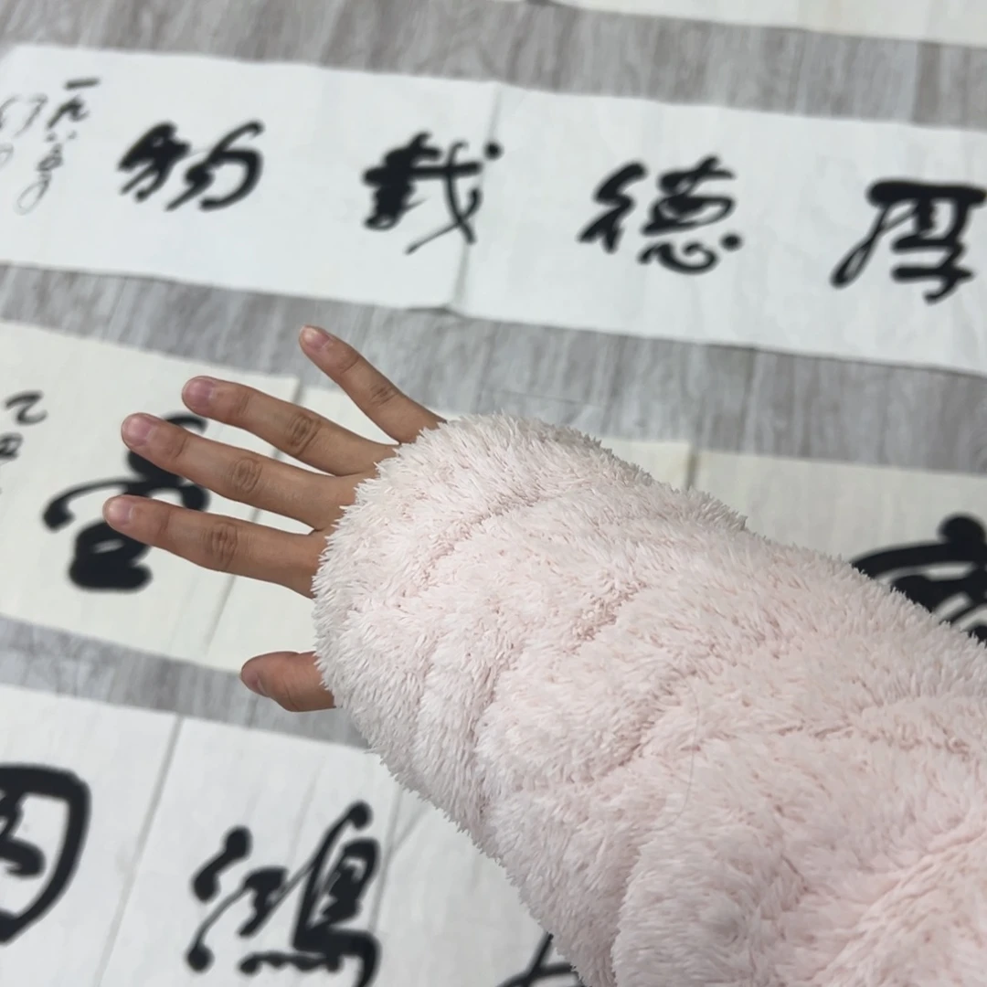 书法大*书法精品一副