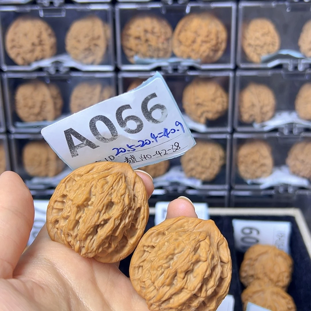 把件文玩核桃40全品麦穗虎头