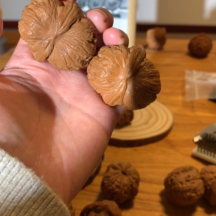 飞***鱼43元宝有黄干就完了