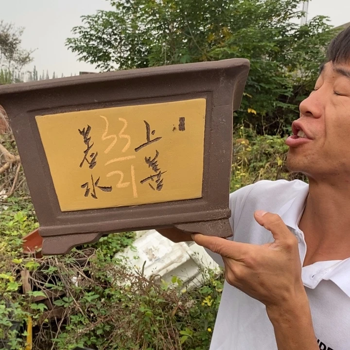 紫砂花盆紫砂艺术学院的