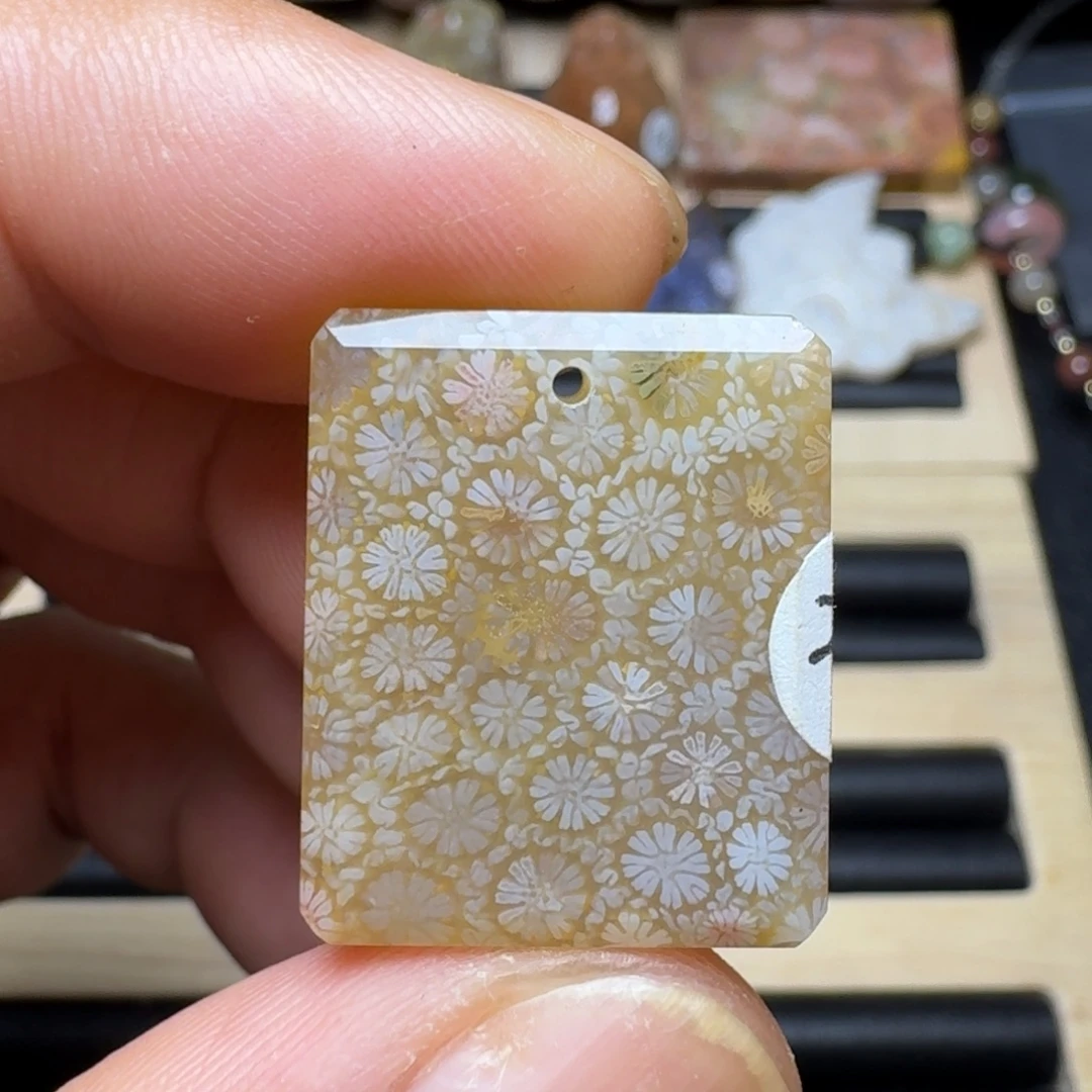 未镶嵌纯天然色有机玉石保真色硅化玉