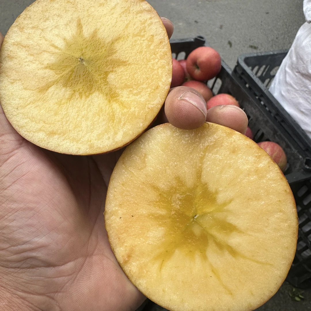 云南丑苹果糖心丑苹果冰糖心苹果现摘现发脆甜多汁60%左右糖心