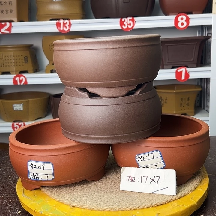 紫砂花盆你在一起