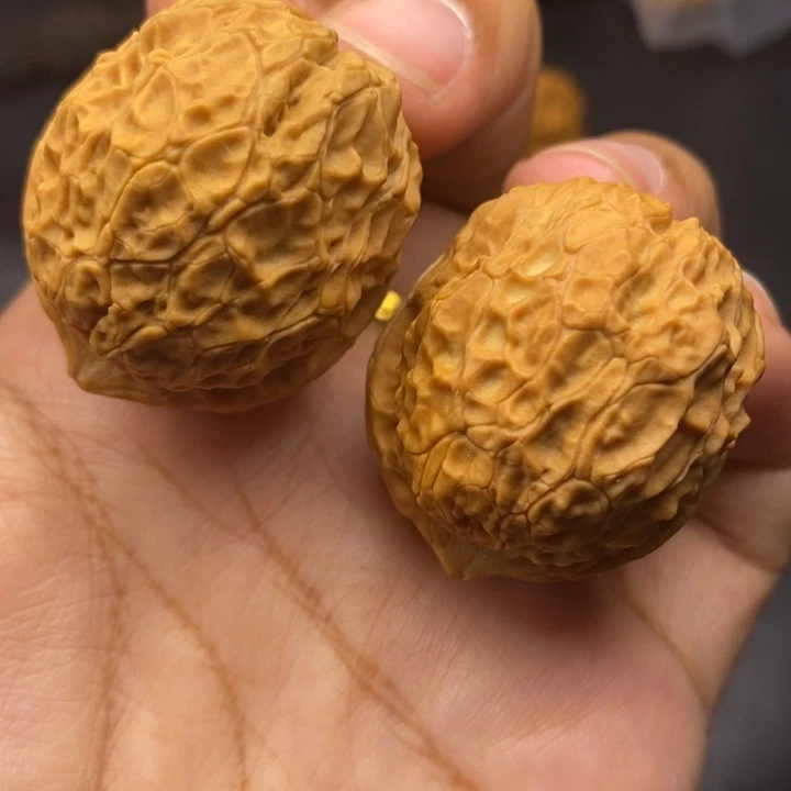 文玩核桃把件38尺铁龙珠