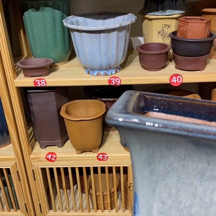 紫砂花盆阿*福利事业