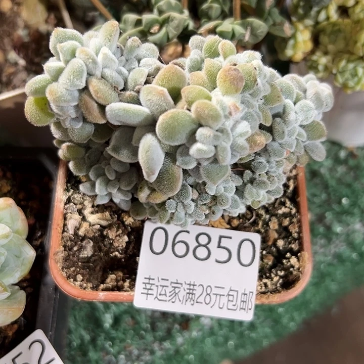 幸运的是我没有遇到过这样